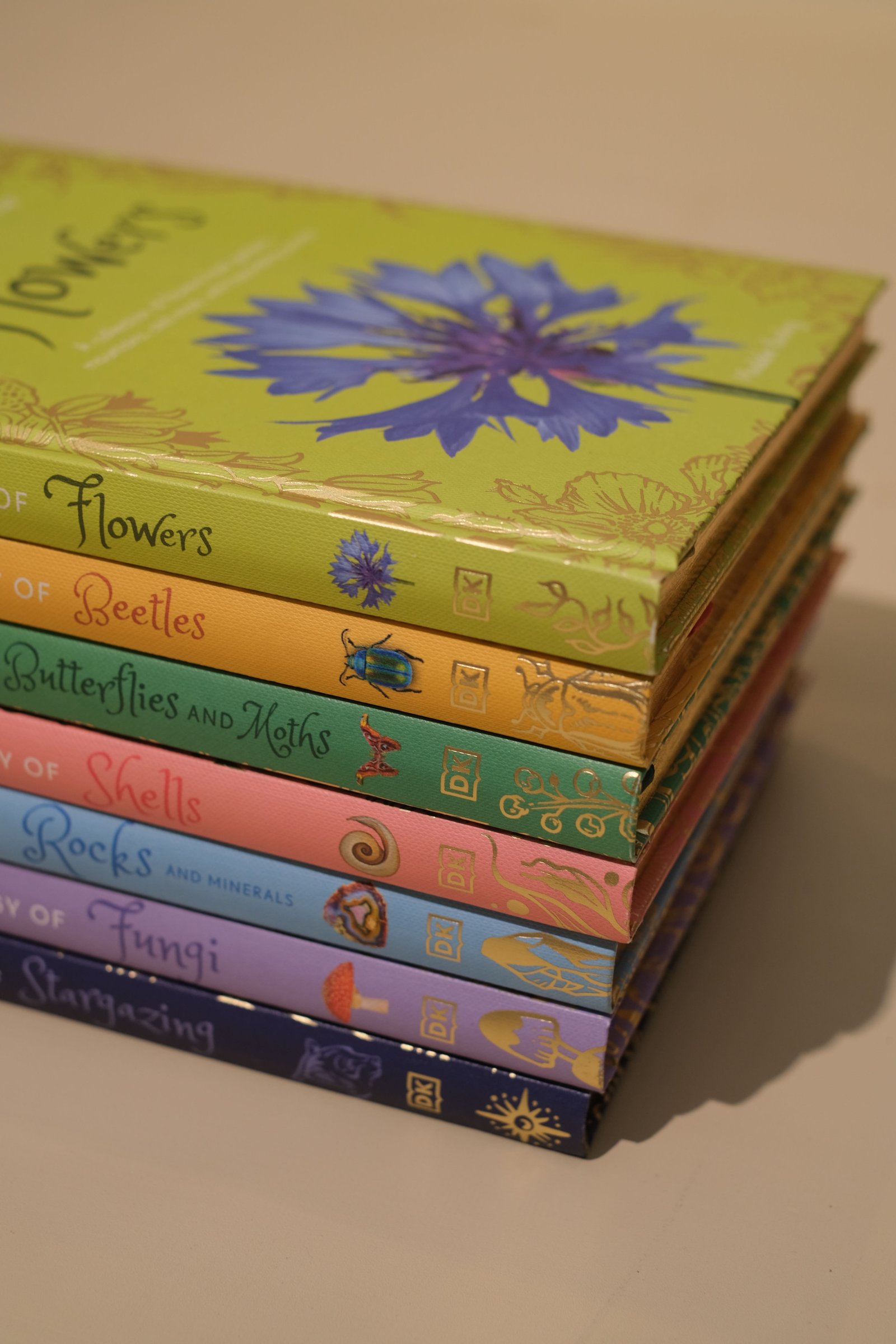 Close-up of a children's book cover with warm natural light