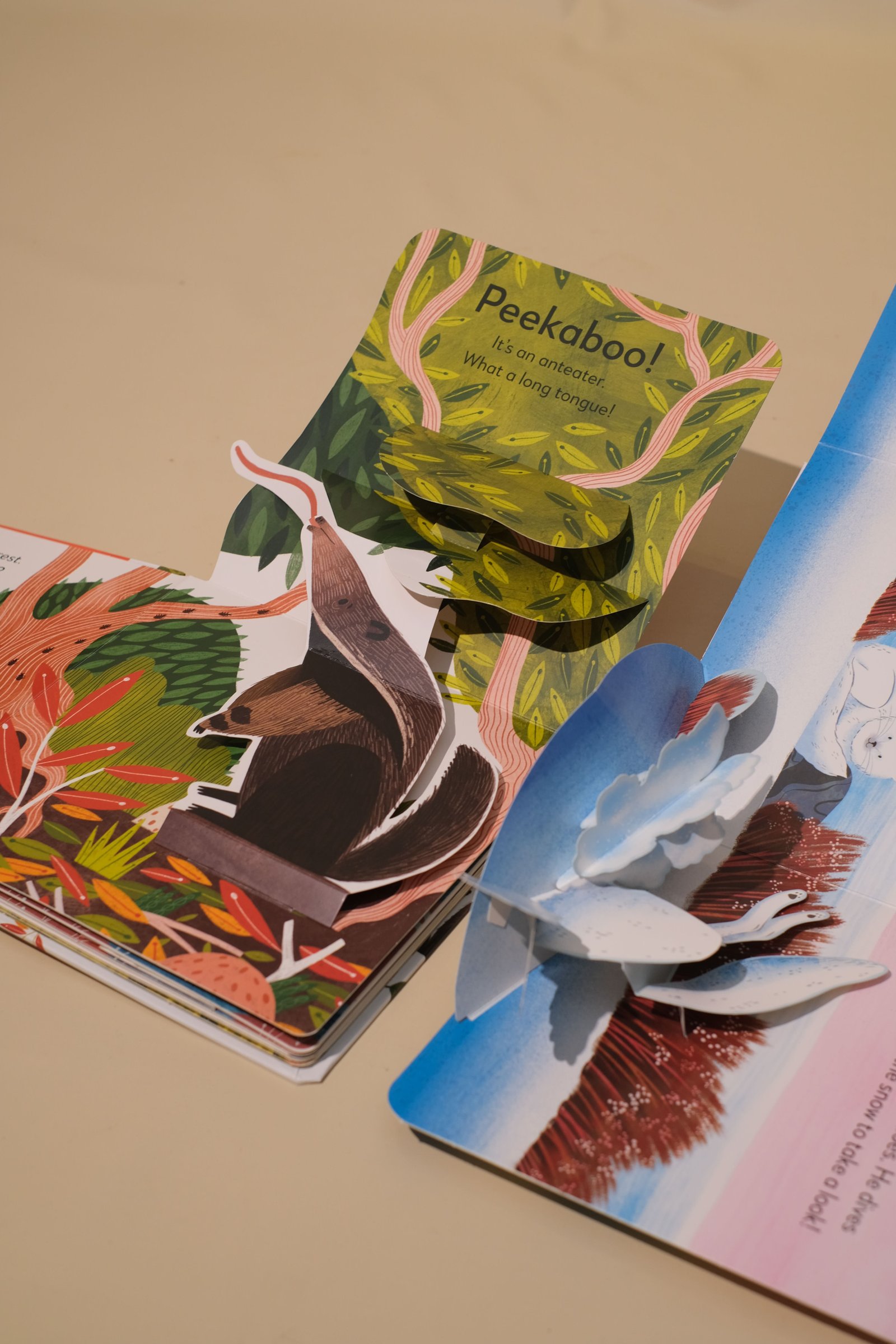 Interactive pop-up and lift-the-flap books